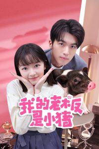 我的老板是小猪 我的老板是小猪 ซีซั่น 1 EP.1-1