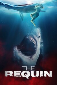 The Requin The Requin
