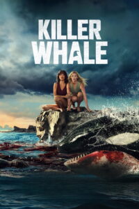 Killer Whale Killer Whale
