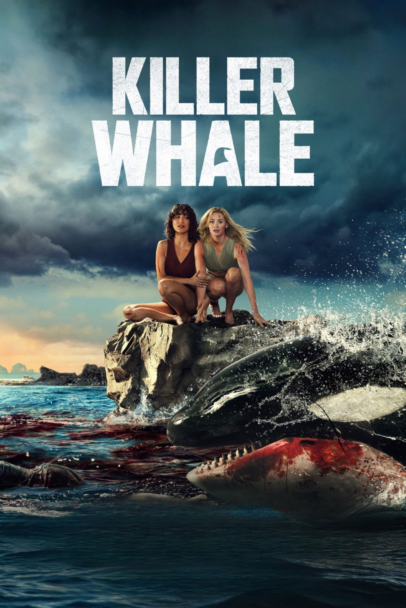 Killer Whale Killer Whale